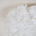 Feathered Ceiling Lamp-DWHOME