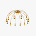 Fireworks Ceiling Lamp-DWHOME