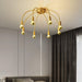 Fireworks Ceiling Lamp-DWHOME
