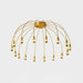 Fireworks Ceiling Lamp-DWHOME