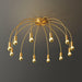 Fireworks Ceiling Lamp-DWHOME