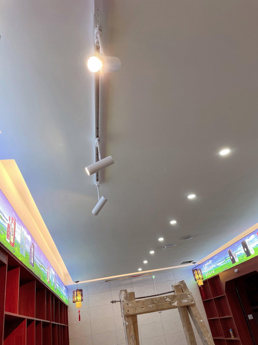 Flatspot Ceiling Light-DWHOME