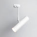 Flatspot Ceiling Light-DWHOME