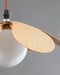 Fleur Petals Pendant Lamp-DWHOME