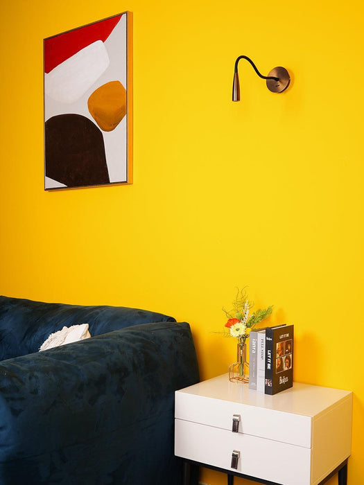 Flexi Hose Wall Light - DWHOME