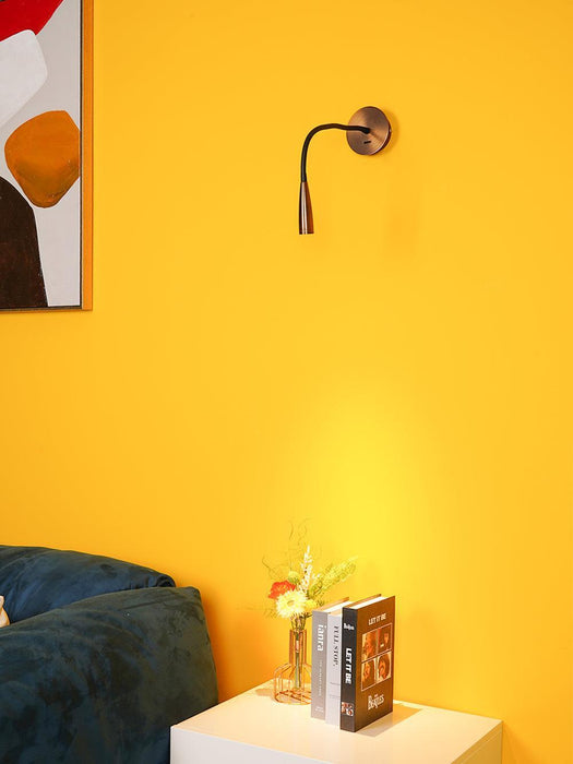 Flexi Hose Wall Light - DWHOME