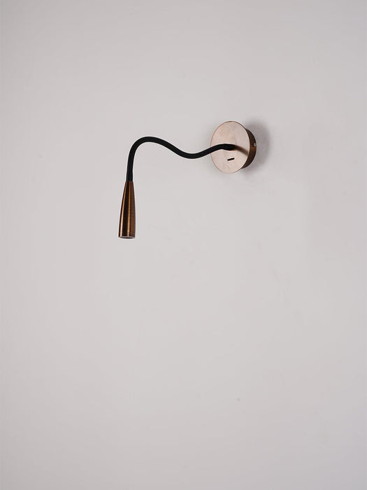 Flexi Hose Wall Light - DWHOME