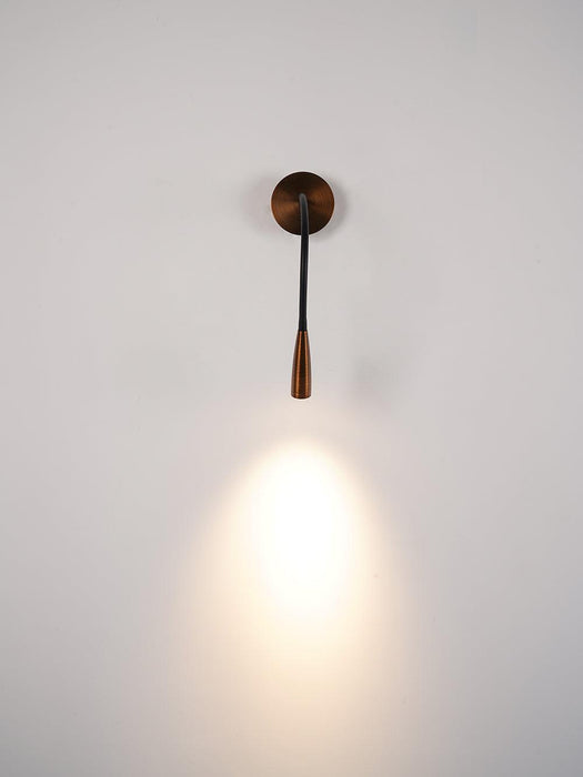 Flexi Hose Wall Light - DWHOME