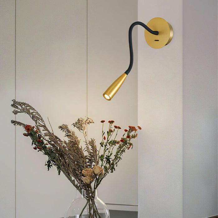Flexi Hose Wall Light - DWHOME