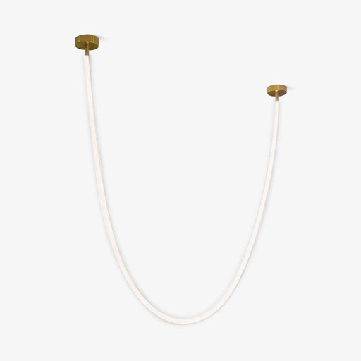 Flexible Curve Pendant Lamp-DWHOME