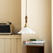 Flower Petals Pendant Lamp-DWHOME