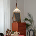 Flower Petals Pendant Lamp-DWHOME