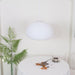 Fluid Pendant Light - DWHOME