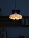 French Flower Pendant Light-DWHOME