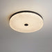 Frosted Dawn Ceiling Light-DWHOME
