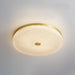Frosted Dawn Ceiling Light-DWHOME