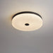 Frosted Dawn Ceiling Light-DWHOME