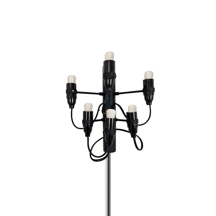 Fruit Plug-in Wall Lamp-DWHOME