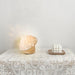 Fungo White Table Lamp - DWHOME
