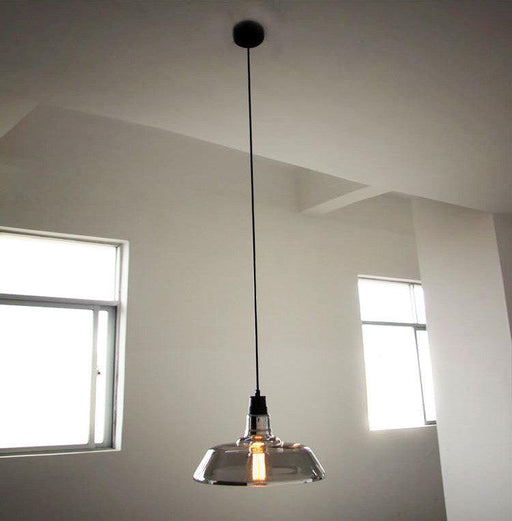 Tinted Glass Shade Industrial Pendant Light-DWHOME