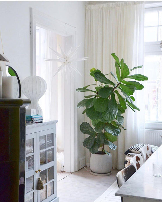 Hot Air Balloon Table Lamp-DWHOME