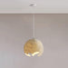 Geometric Resin Pendant Light-DWHOME