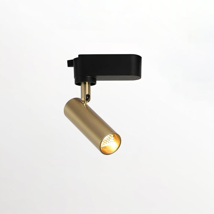 Gilded Rail Track Light-DWHOME