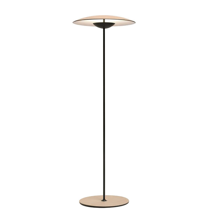 Innovative Directional Floor Lamp-DWHOME