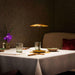 Marset Ginger Table Light - DWHOME