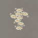 Gingko Leaves Chandelier - DWHOME