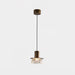 Glacier Crackle Glass Pendant Lamp-DWHOME