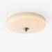 Glacier Essence Ceiling Light-DWHOME