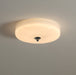 Glacier Essence Ceiling Light-DWHOME