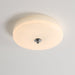 Glacier Essence Ceiling Light-DWHOME