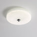 Glacier Essence Ceiling Light-DWHOME