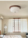 Glass Dome Ceiling Light-DWHOME