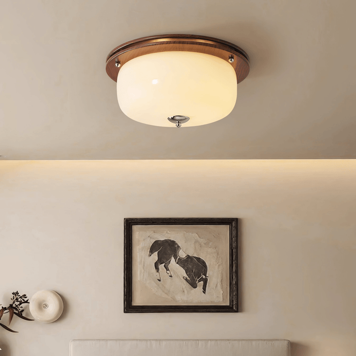Glass Dome Ceiling Light-DWHOME