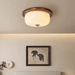Glass Dome Ceiling Light-DWHOME