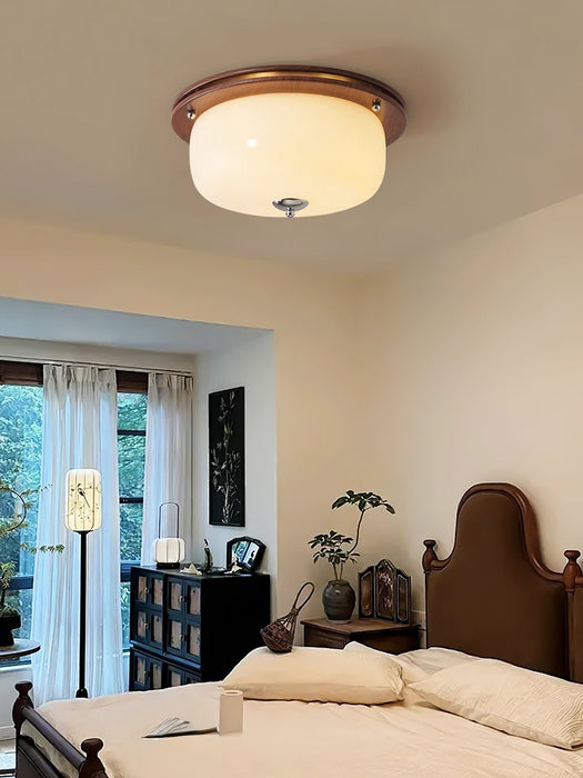 Glass Dome Ceiling Light-DWHOME
