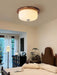 Glass Dome Ceiling Light-DWHOME