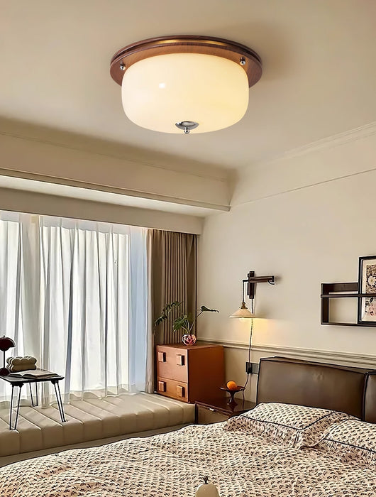 Glass Dome Ceiling Light-DWHOME