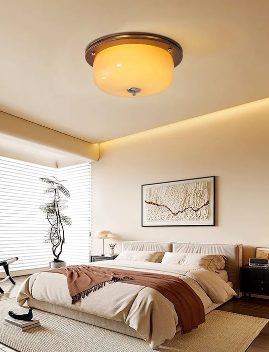 Glass Dome Ceiling Light-DWHOME