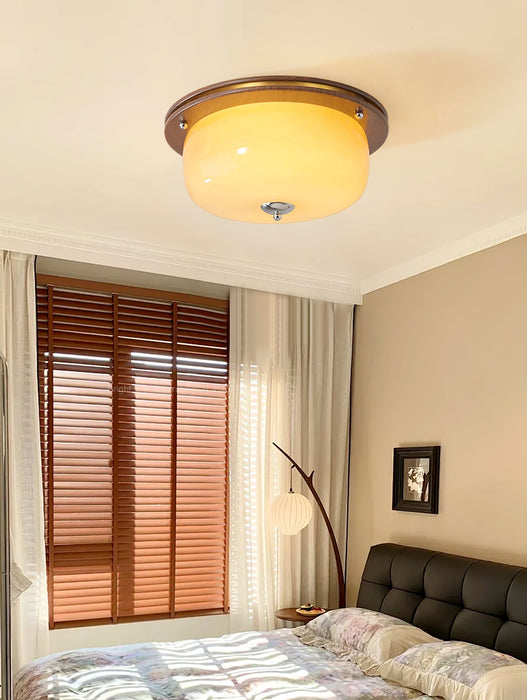Glass Dome Ceiling Light-DWHOME