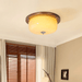 Glass Dome Ceiling Light-DWHOME