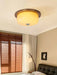 Glass Dome Ceiling Light-DWHOME