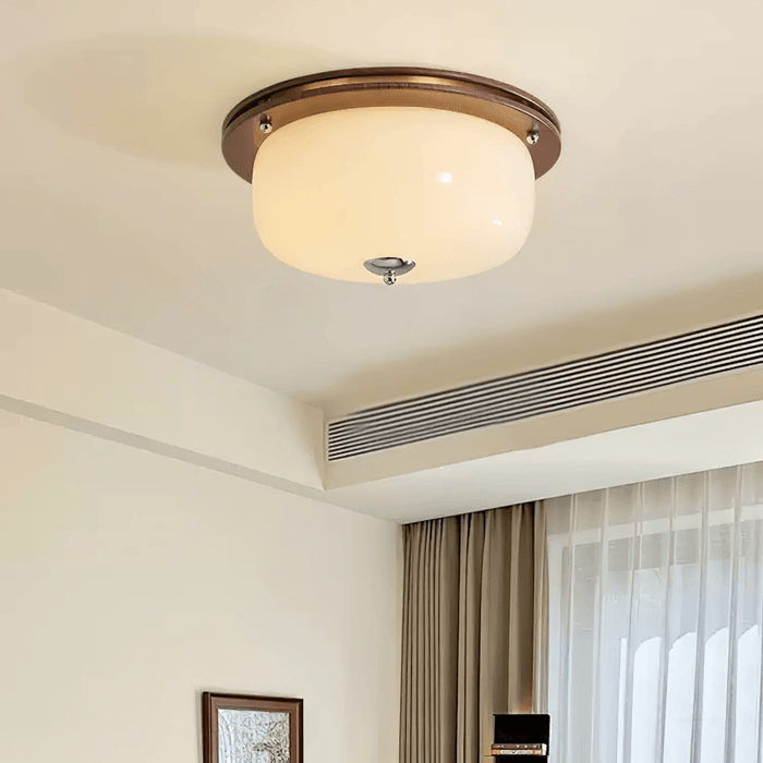Glass Dome Ceiling Light-DWHOME