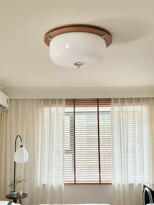 Glass Dome Ceiling Light-DWHOME