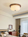 Glass Dome Ceiling Light-DWHOME