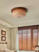 Glass Dome Ceiling Light-DWHOME