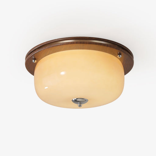 Glass Dome Ceiling Light - Vakkerlight